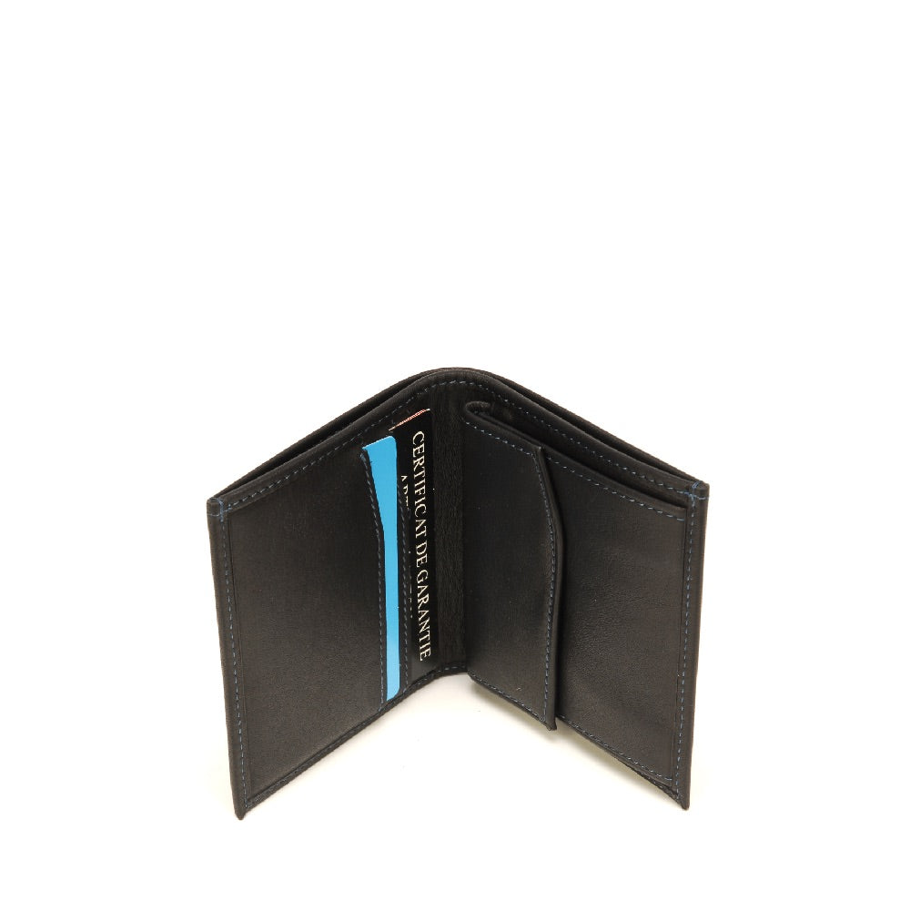 Pablo leather wallet and cards